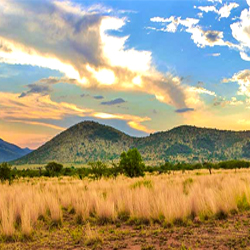 Pilanesberg Southafrica