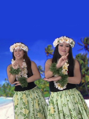 How to Hula Dance