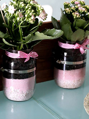 Vertical Gardens Mason Jar Plants